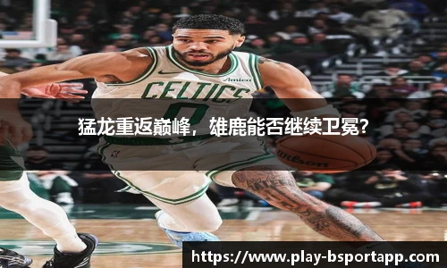 bsport体育