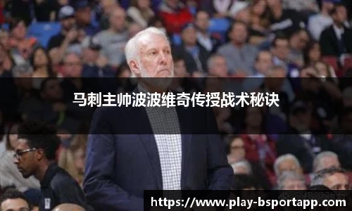 B体育