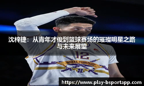 B体育官方