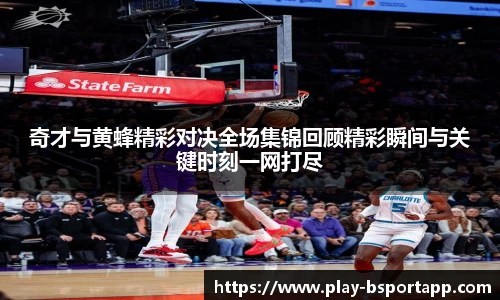 bsport体育