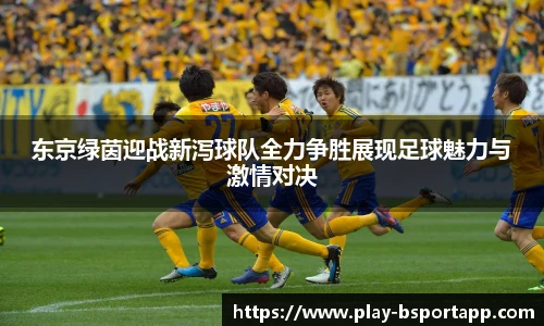 B体育官方网站
