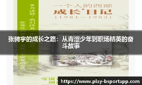B体育官方网站